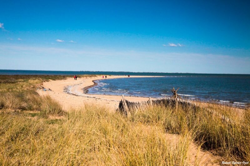 Plage du Camping de La Bie