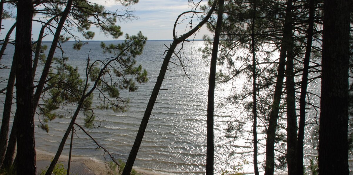 Lac de Cazaux paysage