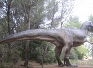 Musée Parc des dinosaures Route départementale 613 à 5 km de Mèze